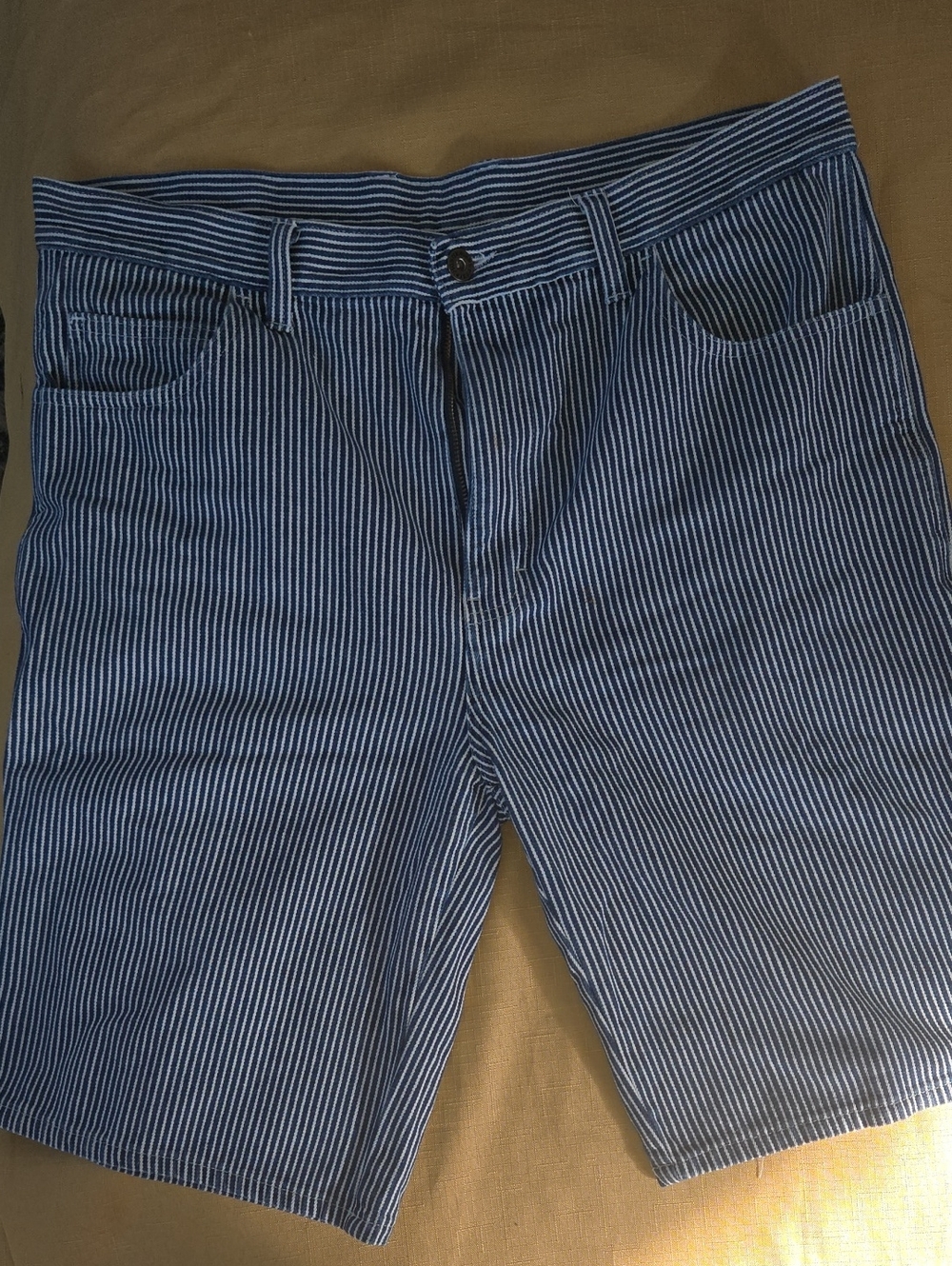Dickies Blue and White Striped Casual Shorts